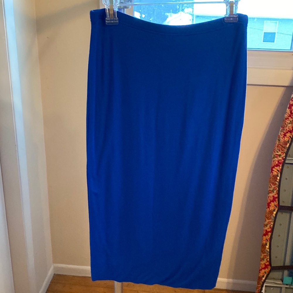 Brand new skirt, never worn from lord and Taylor